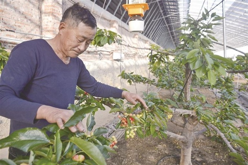 推进农旅融合 助力乡村振兴